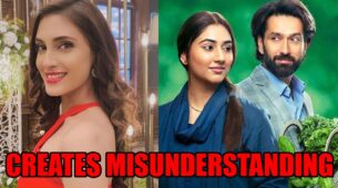 Bade Achhe Lagte Hain 2 spoiler alert: Vedika creates misunderstandings between Priya and Ram