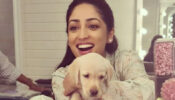 ‘Because why not’:  Yami Gautam’s table was nothing short of an Ice-cream bonanza! See drool-worthy ice cream platter