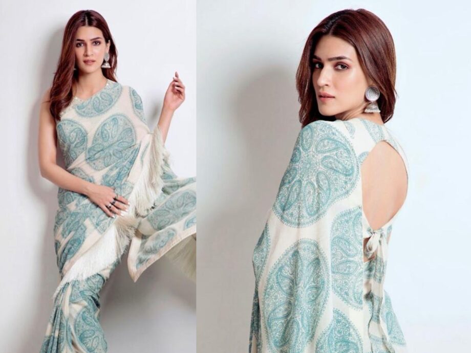 Best Sarees To Steal From Kriti Sanon’s Wardrobe - 4