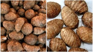 Taro Or Arbi & Its Health Benefits: Know Here