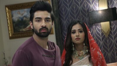 Bhagya Lakshmi spoiler alert: Will Rishi secretly marry Mallishka?