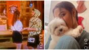 Bigg Boss Update: Rashami Desai and Jasmin Bhasin are seeking ‘love’ in their lives, here’s your golden opportunity