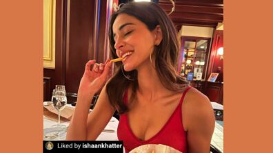 ‘Cutie Pie’ Ananya Panday snapped enjoying yummy french fries, rumoured boyfriend Ishaan Khatter reacts