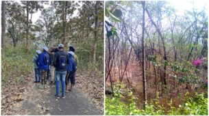 Forests In India That Every Nature Lover Must Visit: Sundarbans In West Bengal To Sacred Grove In Meghalaya