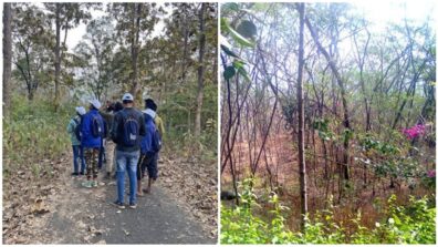 Forests In India That Every Nature Lover Must Visit: Sundarbans In West Bengal To Sacred Grove In Meghalaya