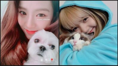 From Blackpink’s Jisso To Lisa: Adorable Looks Of K-Pop Idols With Their Cute Pets