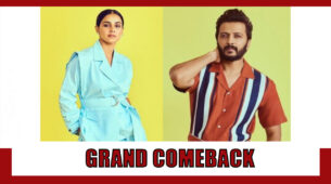 Genelia D’Souza To Make A Grand Comeback In Bollywood With Hubby Riteish Deshmukh’s Debut Direction Film: Read On