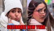Hina Khan and boyfriend Rocky Jaiswal celebrate New Year in New York, check out unseen pictures