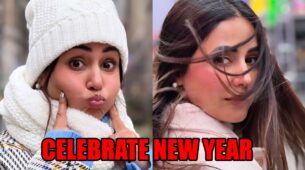 Hina Khan and boyfriend Rocky Jaiswal celebrate New Year in New York, check out unseen pictures