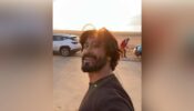 How to drift in the midst of pyramids? Learn from Khuda Haafiz actor Vidyut Jammwal