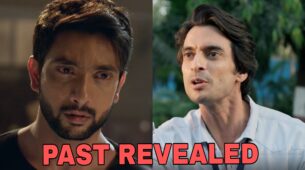 Imlie Spoiler Alert: Aryan’s vengeful connect with Aditya REVEALED