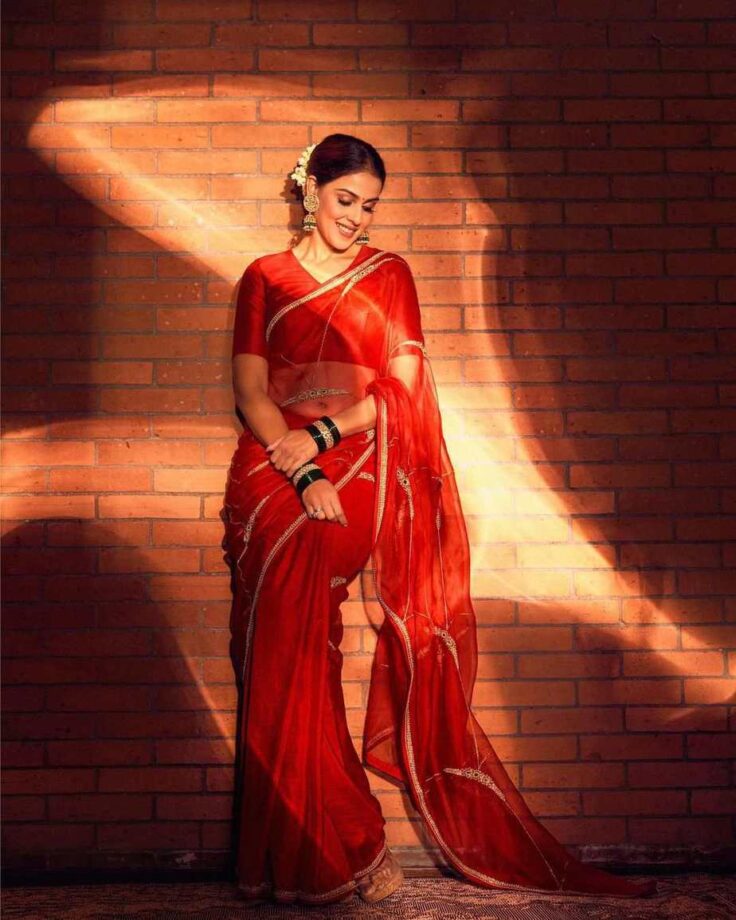 In Pics: Genelia Deshmukh’s Beautiful Saree Wardrobe - 0