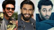 Kartik Aaryan, Ranveer Singh, Ranbir Kapoor In Pyaar Ka Punchnaama 3?