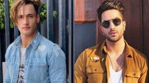 Asim Riaz To Aly Goni: Bigg Boss Men Who Stunned Us With Their Hotness