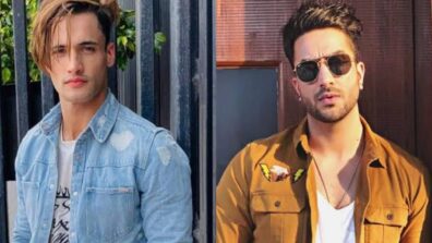 Asim Riaz To Aly Goni: Bigg Boss Men Who Stunned Us With Their Hotness