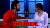 Kundali Bhagya spoiler alert: Preeta on a mission to seek revenge from Prithvi