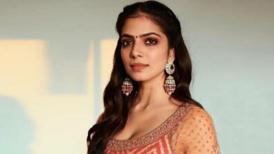 Malavika Mohanan Shares Her VicKat Wedding Experience: Checkout