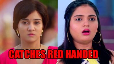 Meet spoiler alert: Meet Hooda catches Isha red handed?