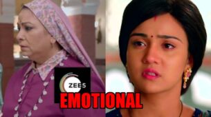 Meet spoiler alert: Dadi and Meet Hooda’s emotional moment