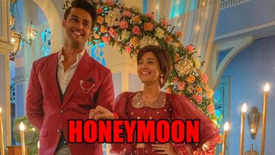 Meet spoiler alert: Meet Ahlawat and Meet Hooda off to Rajasthan for their honeymoon