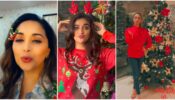 Merry Christmas: Bollywood Divas Madhuri Dixit, Keerthy Suresh and Kiara Advani wish fans