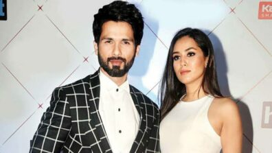 Mira Rajput & Shahid Kapoor Give A Glimpse Of Their Artistic 56 Crores Abode, See Here