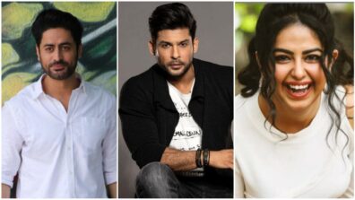 Mohit Raina, Sidharth Shukla To Avika Gor: TV Stars Who Made Their OTT Debut