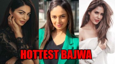 Neeru Bajwa, Rubina Bajwa Or Sonam Bajwa: Who Is The Hottest Bajwa? Vote Now