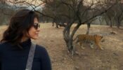 OMG: Malavika Mohanan does a dangerous, life-threatening adventure with a scary tiger, video goes viral