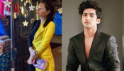 RadhaKrishn fame Mallika Singh heads out for Christmas celebration, Sumedh Mudgalkar sits at home watching movies