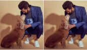 Riteish Deshmukh Raises The Bar As He Poses In Elegant Suit Besides His Pet Dog