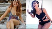 Samantha Ruth Prabhu Vs Ileana D’Cruz: Who is ‘Queen Of Monokini’ in South industry?