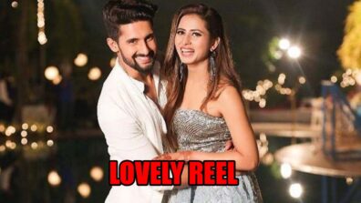 Sargun Mehta-Ravi Dubey Share Lovely Reel On Instagram: Give Couple Goals To Fans