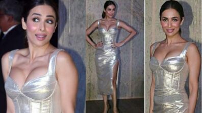 Malaika Arora sets the oomph game on fire with her hot personality, fans sweat