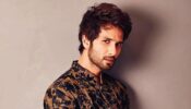 Shahid Kapoor Opens Up On Critics About Kabir Singh: Says, ‘We Felt That The Product Was Potent’