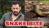SHOCKING: Salman Khan gets bitten by snake at Panvel farmhouse