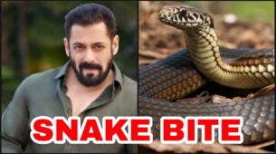 SHOCKING: Salman Khan gets bitten by snake at Panvel farmhouse