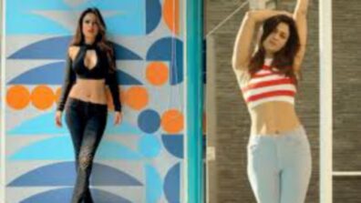 Shweta Tiwari Vs Nia Sharma: Which Celeb Deserves 10/10 On Flaunting Their Hot “Abs”?