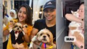 So cute: Tv stars Munmun Dutta, Ashnoor Kaur & Siddharth Nigam are up for some ‘Paw’ love