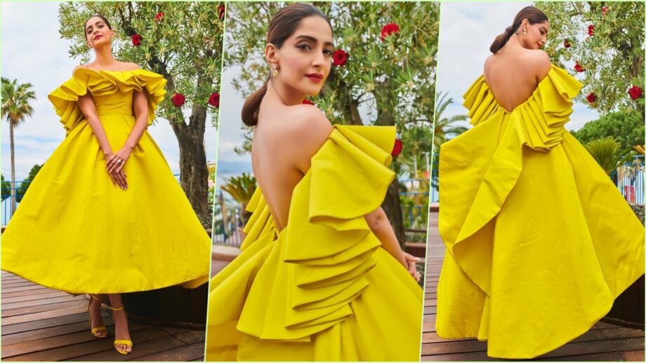 Sonam Kapoor To Katrina Kaif: 3 Bollywood Celeb Ashi Studio Gowns You Would Want For Yourself - 0