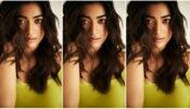 Stop And Stare! Rashmika Mandanna Is Nothing Less Than A Dream In This Mushy Click; See Pic