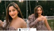 Surbhi Chandna stuns one and all with her unlimited swag, Dheeraj Dhoopar reacts