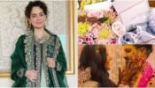 Sweet Gesture: Vicky Kaushal and Katrina Kaif send ‘shaadi ke laddoos’ for Kangana Ranaut, see pic