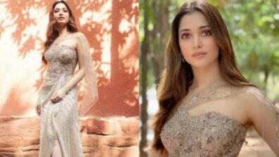 Tamannaah Bhatia in a shimmery gown is truly the epitome of elegance