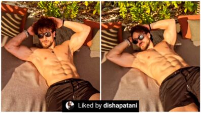 Tiger Shroff flaunts his chiseled abs in Maldives, rumoured girlfriend Disha Patani is super impressed