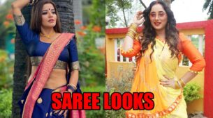 Times Monalisa, Rani Chatterjee & Other Bhojpuri Hotties Proved Elegance Begins With Saree