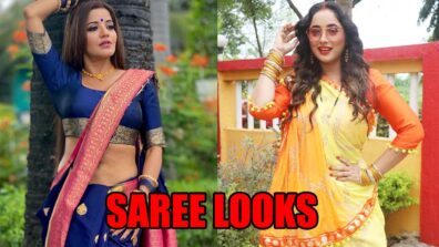 Times Monalisa, Rani Chatterjee & Other Bhojpuri Hotties Proved Elegance Begins With Saree