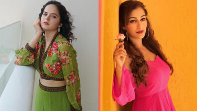 TMKOC beauties Palak Sindhwani and Sunayana Fozdar raise the heat with oomph, fans melt in awe