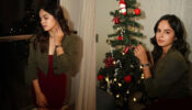 TMKOC diva Palak Sindhwani reveals flaunts home decor ahead of Christmas, you will fall in love