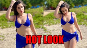 Too Hot To Handle: Urfi Javed sets the internet on fire with hot pictures in blue bikini, fans sweat